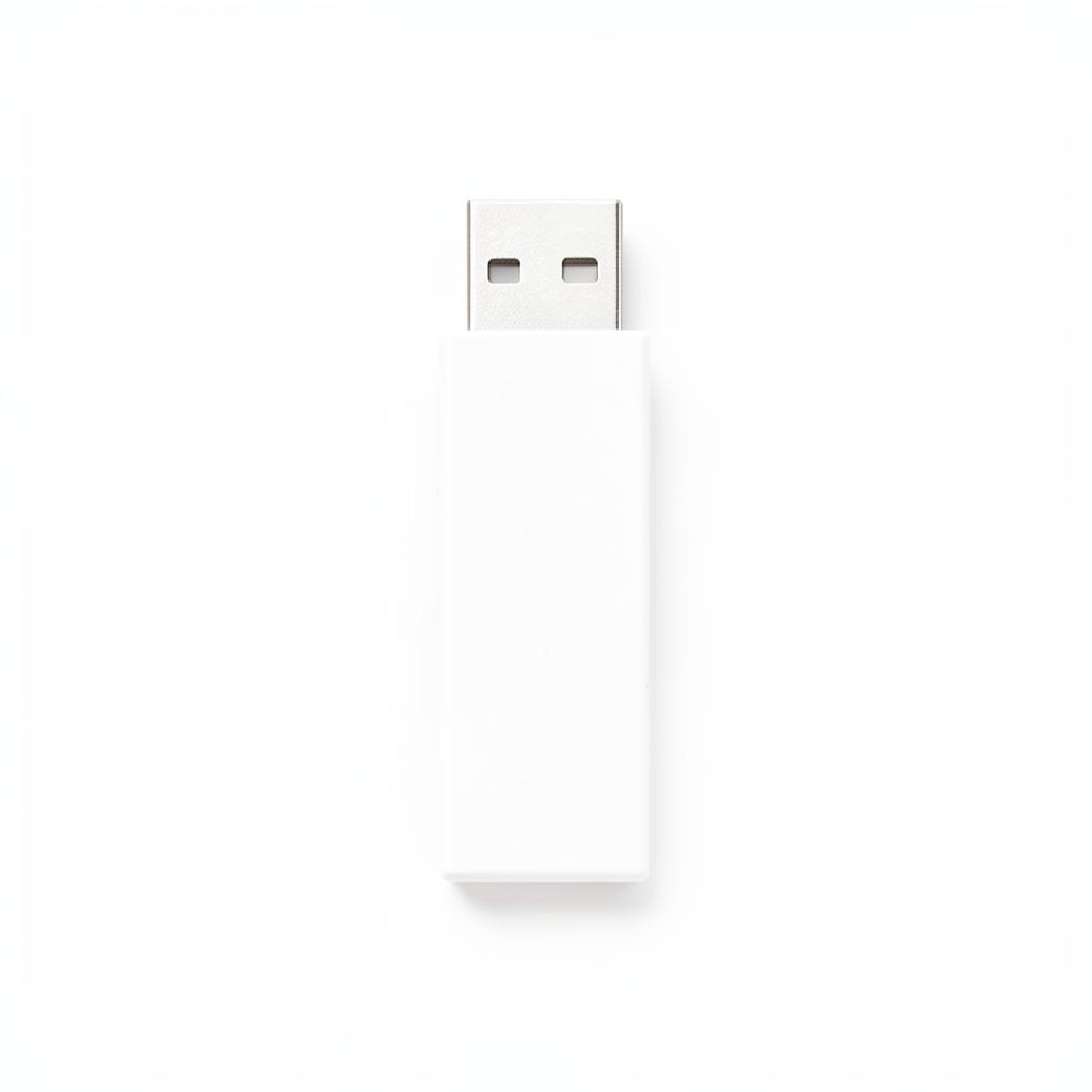 Clé USB personnalisable